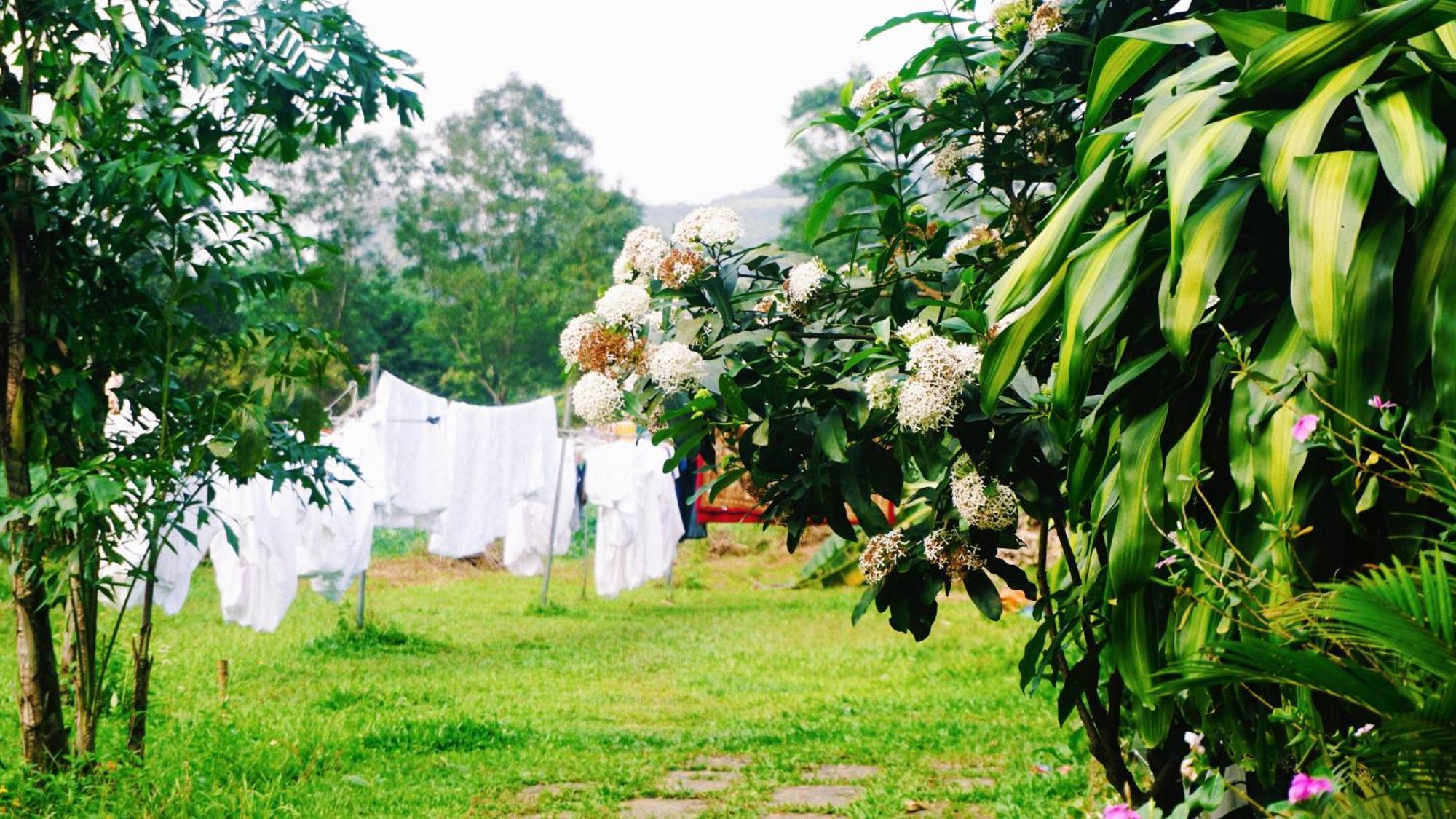 Phong Nha Eco Village Exterior foto