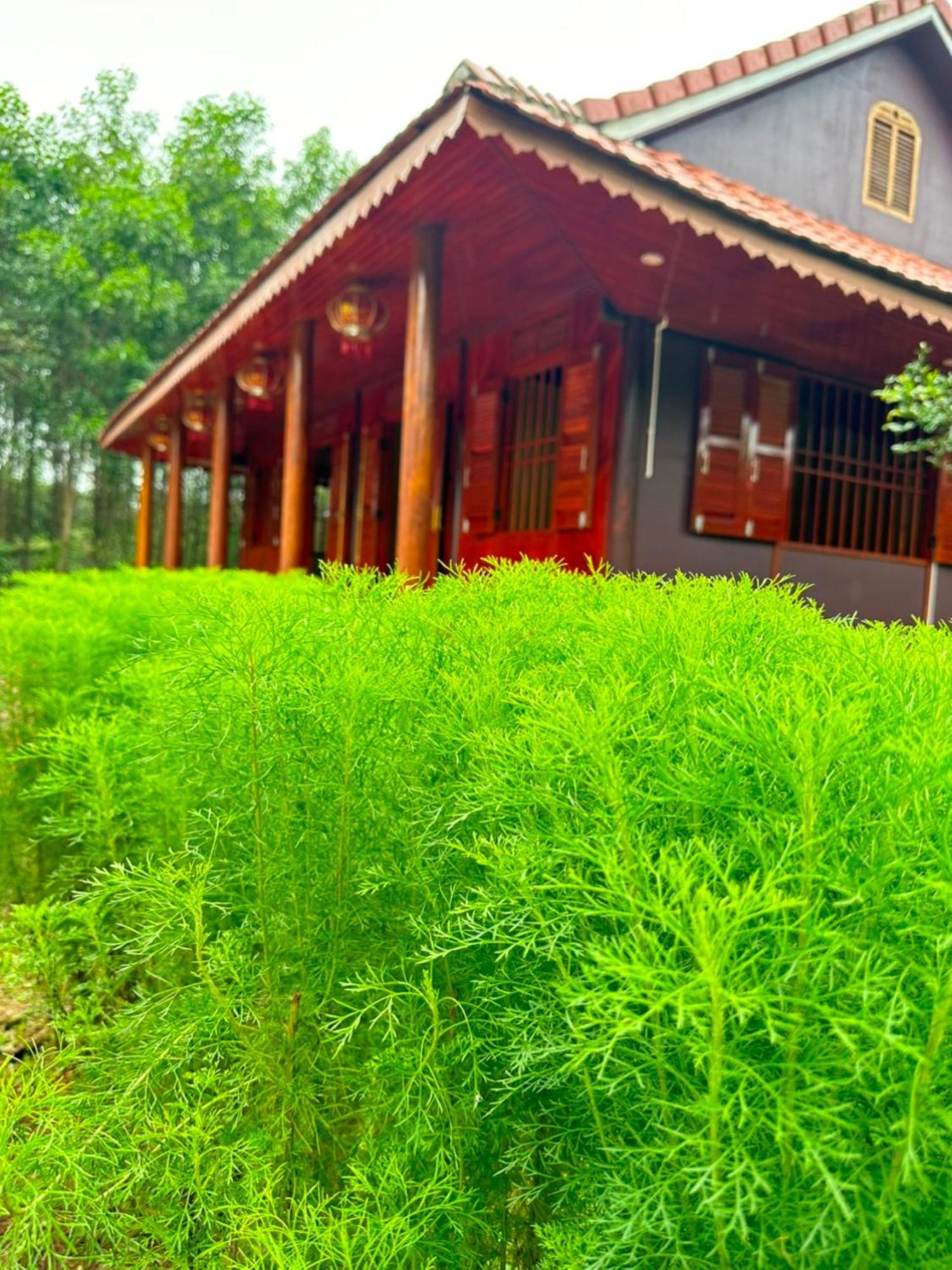 Phong Nha Eco Village Exterior foto