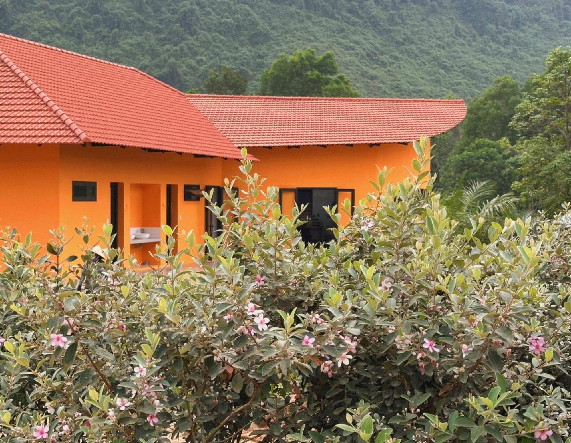 Phong Nha Eco Village Exterior foto